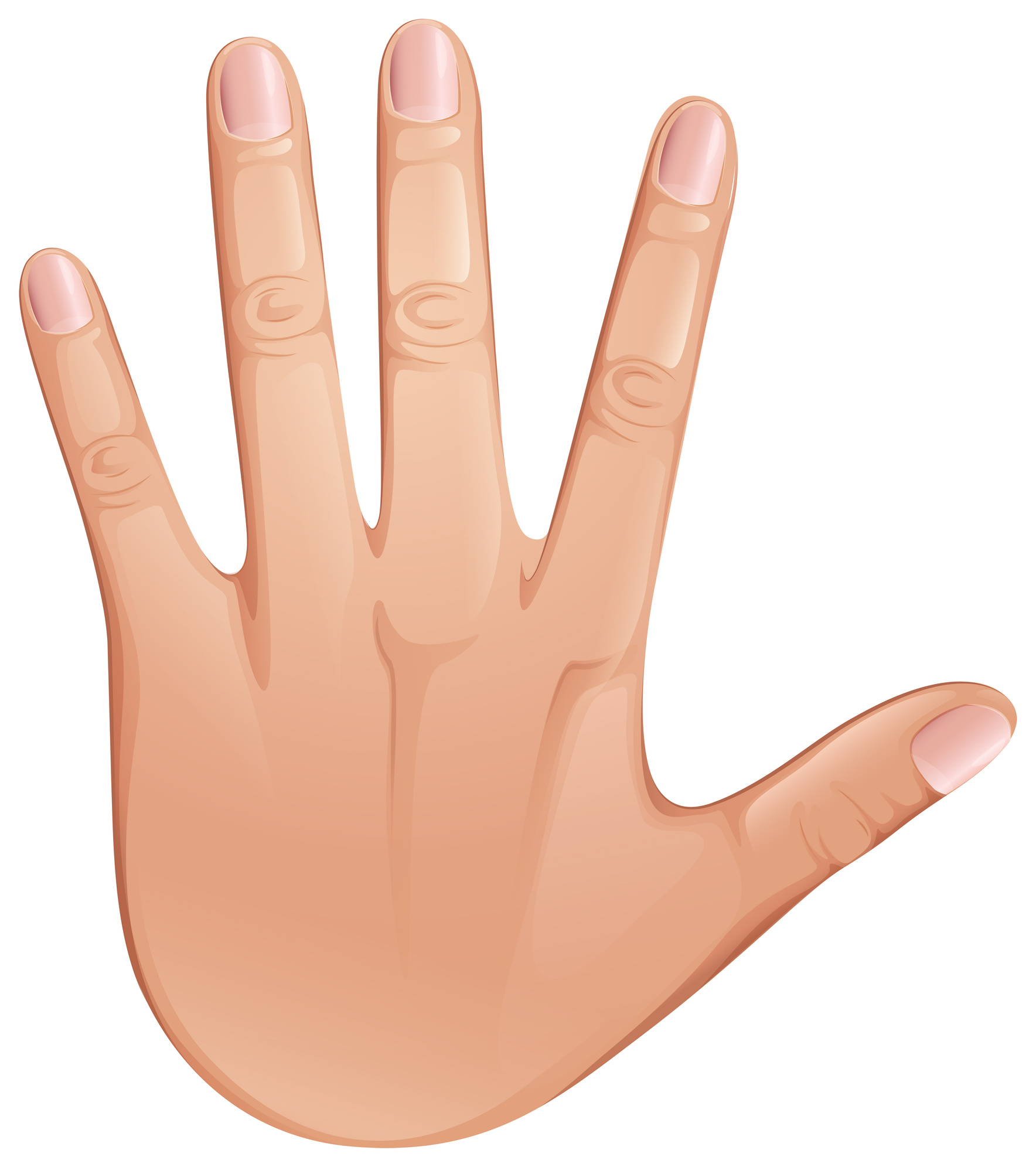 Illustrazione della mano con punti tapping